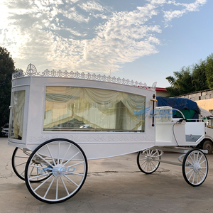 Elegante Carroza Fúnebre Personalizada a Caballo, Último Modelo, Estilo Moderno, de Metal y Madera, en Venta - Product Image 4