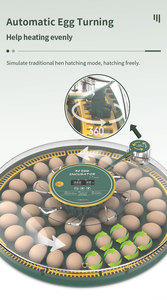 Wonegg mới chim cút gà tây lồng ấp 50 trứng lồng ấp Nhiệt kế 12V DC lồng ấp trứng - Product Image 2