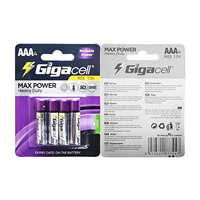 Piles au carbone-zinc R03 (AAA) 1,5 V, modèle micro, Maxpower, haute puissance, pour jouets, horloges, télécommandes