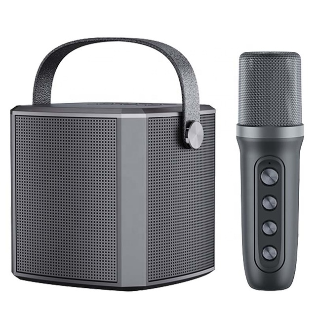 bluetooth Speaker Factory Outdoor Portable  Kids Bluetooth Speaker for Karaoke Family Party KTV Wireless Microphone Speakers