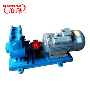 Bomba de aceite de paletas de alta resistencia BO HAI YB50-12 para diésel/gasolina/GLP, OEM personalizable, 5,3 kW, 1 año de garantía - Product Image 4