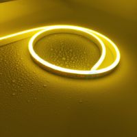 Prix d'usine Bande lumineuse LED néon extérieure étanche IP67 de 5 mètres 12V 2835 Corde néon flexible pour application paysagère