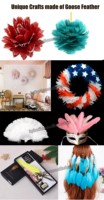 Plume d'oie rose vif pour Arts artisanat bricolage stylo aile coiffure Costume chapeau cheveux accessoire carnaval fête mariage maison noël