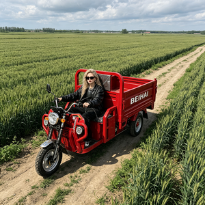 Triciclo Elettrico Passeggeri a <span class=keywords><strong>Tre</strong></span> Ruote BEIHAI 2026 Economico Mini Scooter 60V 2000W per Adulti - Product Image 3