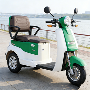 Triciclo eléctrico Magic Q1 con batería de larga duración/motor sin escobillas de 800-1000W/batería de plomo-ácido - Product Image 1