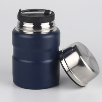 Thermos à Double paroi en acier inoxydable, pot à aliments, 500ml, offre spéciale
