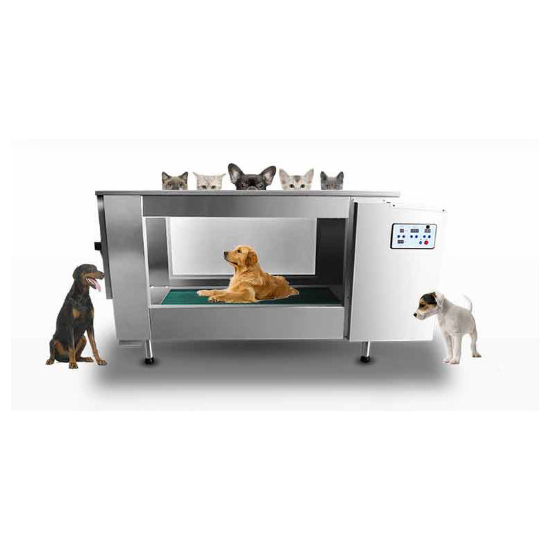 Dog Underwater Treadmill Sale Fitness Hydrotherapy