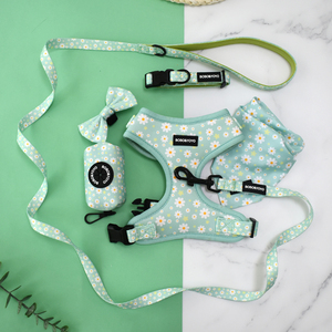 2025 özel Logo tasarımcı büyük Pet köpek koşum tasma yaka Set lüks moda Polyester eğitim yürüyüş kediler koşum seti - Product Image 3