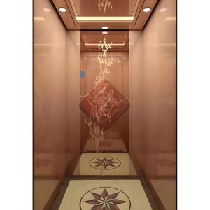 Ascensor de Pasajeros OTIS con Sistema de Tracción, 400kg/600kg, Elevador Eléctrico para Casa, Interior/Exterior, Residencial, para 2-6 Personas - Product Image 1