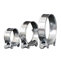 Collier de serrage standard de haute qualité en acier inoxydable poli/acier galvanisé, modèle THEONE 19-252, pour tuyaux, à vis simple métrique