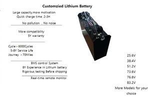 Batterie au lithium pour chariot élévateur 25.6v/48v/51.2v/80v 314Ah-628Ah Haute Capacité LiFePO4 Batteries pour chariot élévateur électrique Garantie 5 ans 6000 - Product Image 6
