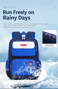 Wholesale Student <b>Backpack</b>, High‑Quality Large Capacity Water‑Repellent Wear‑Resistant With Custom Logo - Product Image 5