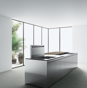 Gabinete de Cocina Minimalista de Acero Inoxidable Sin Tiradores con Isla Integrada y Campana Extractora Elevable - Product Image 1