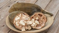 Poudre d'extrait de Baobab 100% naturelle, complément alimentaire super-riche en vitamine C