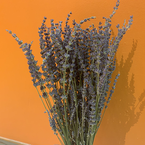 V590 Meilleures ventes d'<span class=keywords><strong>Amazon</strong></span>, vente en gros naturelle, moins cher, <span class=keywords><strong>bouquet</strong></span> de <span class=keywords><strong>fleurs</strong></span> <span class=keywords><strong>séchées</strong></span>, <span class=keywords><strong>fleurs</strong></span> de lavande <span class=keywords><strong>séchées</strong></span> à vendre - Product Image 5
