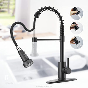 Robinet de cuisine monocommande noir avec douchette extractible à ressort - Product Image 1