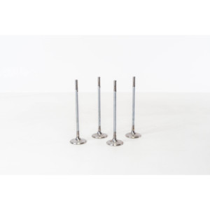 Valvola di Aspirazione Adatta per OPEL 642029, Valvole Motore - Product Image 1