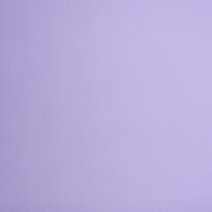 Nhà Máy taffeta sáng bóng bóng <span class=keywords><strong>PU</strong></span> da lớp phủ trơn cho túi ngủ xuống áo khoác độn puffer vải cho may mặc - Product Image 2