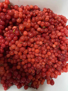 Травяной чай Дикий натуральный сухофрукт <span class=keywords><strong>Schisandra</strong></span> Chinensis - Product Image 3