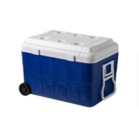 Glacière isotherme en PP Silicon Care pour la vente ambulante, le camping et les pique-niques en extérieur, avec poignée et roulettes, pour glace