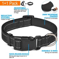 Collier pour chien en nylon le plus vendu avec sangle réfléchissante, réglable, antidérapant et anti-étranglement pour la promenade