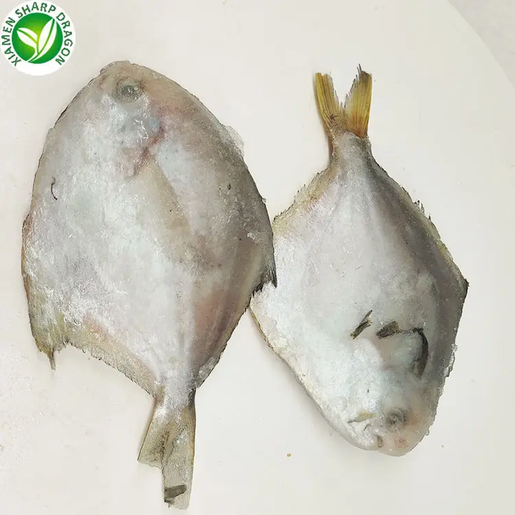 Fresh Frozen Best Whole Big large Round white silver sea pomfret fish IQF Pompano pamphlet paplet fish Chinese local