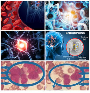 प्रकाश लेजर एक्यूपंक्चर कम स्तर इलेक्ट्रॉनिक लेजर लाइट थेरेपी दर्द से राहत के लिए 650 + 808nm - Product Image 4