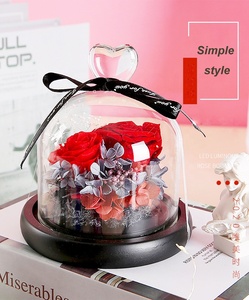 Bellezza secchi fiori freschi conservati cupola di vetro rosa <span class=keywords><strong>regali</strong></span> speciali romantico <span class=keywords><strong>san</strong></span> <span class=keywords><strong>valentino</strong></span> <span class=keywords><strong>regali</strong></span> per sempre fiore immortale - Product Image 5