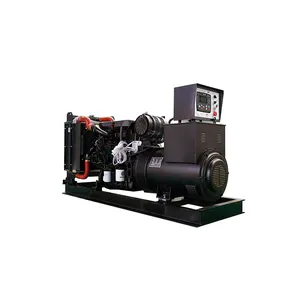 High quality Professional manufacturer 200kw Water Cooled Diesel generators by Ricardo engine