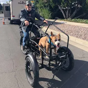 אופני מטען חשמלי קדמי מנוע חשמלי 500w עם סוללת ליתיום 3 גלגל תלת אופן חשמלי תלת אופן תלת אופן חשמלי עבור מטען - Product Image 1