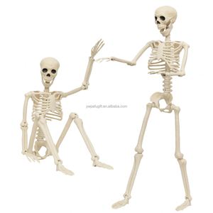 Squelette humain réaliste de 90 cm avec articulations, accessoire de pose pour Halloween - Product Image 4