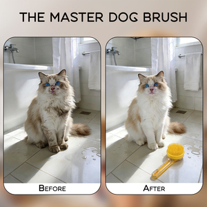 Cepillo de baño para mascotas con mango utilizado con gel de ducha para pelo de perro y gato, productos de limpieza y aseo para mascotas, cepillo para eliminación de residuos de mascotas - Product Image 6