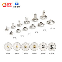 Vis de fixation, goujons à double capuchon, rivets, boutons de fixation, clous tubulaires métalliques 3mm-20mm, rivets double face, clous décoratifs