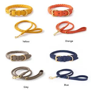 INS Multicolor Custom Logo Braided Leather Adjustment Pet cat dog collar & leash set with solid buckle for small medium pets