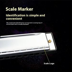 Venta al por mayor de fábrica, armónica de Blues de 10 agujeros, instrumento Musical diatónico de tono C, juguete para principiantes, logotipo para estudiantes y niños - Product Image 4