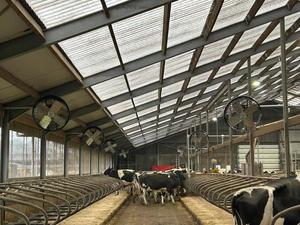 Ứng dụng kiểm soát 220V quạt lưu thông cho gia cầm nhà 8 điểm cài đặt lưỡi nhựa thiết bị trang trại - Product Image 5