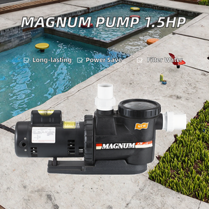 <span class=keywords><strong>Pompe</strong></span> à eau Magnum <span class=keywords><strong>Jacuzzi</strong></span> Series de haute qualité Filtre 1.5hp Excellentes performances pour piscines commerciales et domestiques - Product Image 2