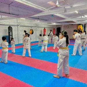 Tapete de Taekwondo de Alta Densidad, Manta Antideslizante para Artes Marciales - Tapete de Piso Encajable Tipo Rompecabezas 1x1m - Product Image 1