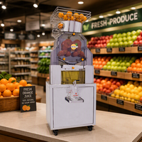 Juicer Buah Utuh Komersial 2000A-1, Pengumpan Otomatis Jeruk Utuh, Efisiensi Tinggi, Daya 370W, Operasi Senyap, 40 Jeruk/menit