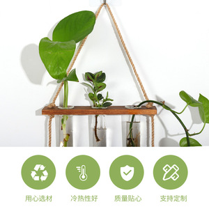 Wall Mounted Glass Hydroponic Test Tubes Wooden Rack Hanging Plant Container For Green Plants Bamboo Frame Geometric Design - Product Image 4