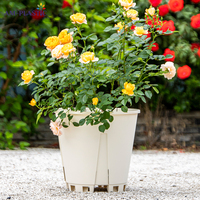 Pot de fleur en plastique double couleur durable fournitures de jardin domestique de tailles multiples pour la transplantation de plantes succulentes de pépinière jardinière de qualité supérieure