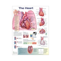 Affiche murale personnalisée en papier écologique, édition de tableau des organes de l'anatomie humaine, pour salle de classe, hôpital, décoration de la maison, sans cadre