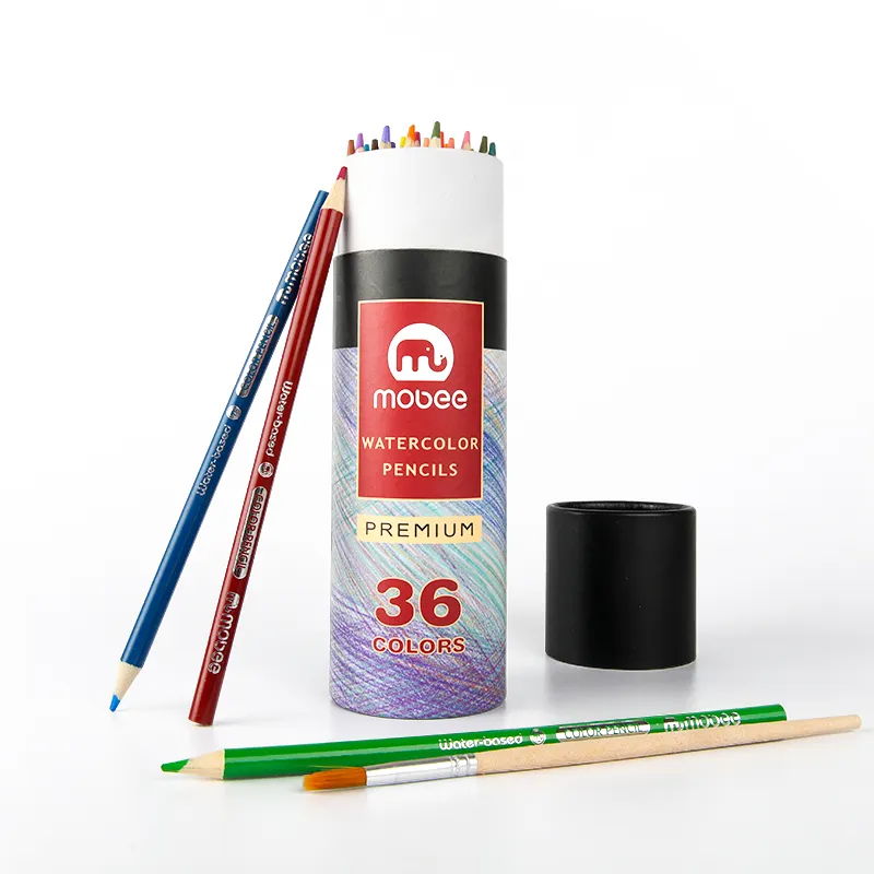 Gxin K001B36 36 रंग कागज सिलेंडर ट्यूब बॉक्स रंगीन पेंसिल कलाकार सेट बच्चों के लिए कला ड्राइंग कस्टम रंग पेंसिल स्केच