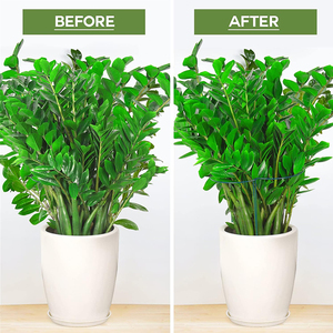 <span class=keywords><strong>Support</strong></span> de <span class=keywords><strong>plante</strong></span> en treillis métallique d'intérieur <span class=keywords><strong>Support</strong></span> de <span class=keywords><strong>plante</strong></span> demi-rond Supports de conception de piquet pour accrocher des plantes grimpantes Accessoires de décoration - Product Image 5