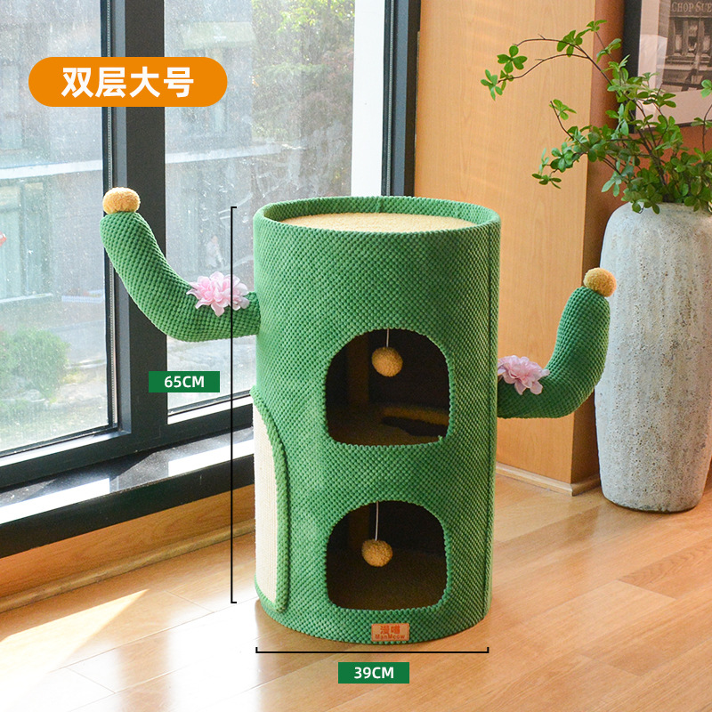 Cactus Cubo de isal