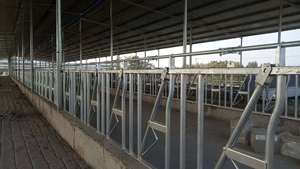 Barrière de retenue pour bovins et vaches, galvanisée à chaud, de 6 m de long et à 7 têtes, pour fermes – Barrières de retenue pour animaux de haute qualité - Product Image 6