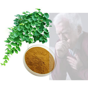 Sirope Soluble en agua para la <span class=keywords><strong>tos</strong></span>, extracto Herbal de hojas de <span class=keywords><strong>hiedra</strong></span> al 100%, precio de fábrica - Product Image 1