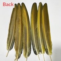Plumes de faisan naturelles brutes pour la confection de costumes de carnaval, plumes de perroquet 20-50cm, bleues, pour coiffures, accessoires de tête, sacs à dos et danse