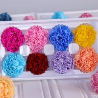 Lot de 8 têtes de carnations éternelles préservées de 4-5 cm en gros pour la Fête des Mères, la Saint-Valentin, et les créations florales DIY