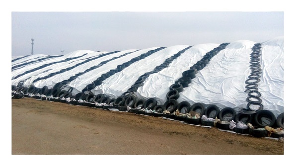 Best Price High Strength 60FT Silage Covering Silage Sheeting Silage Film